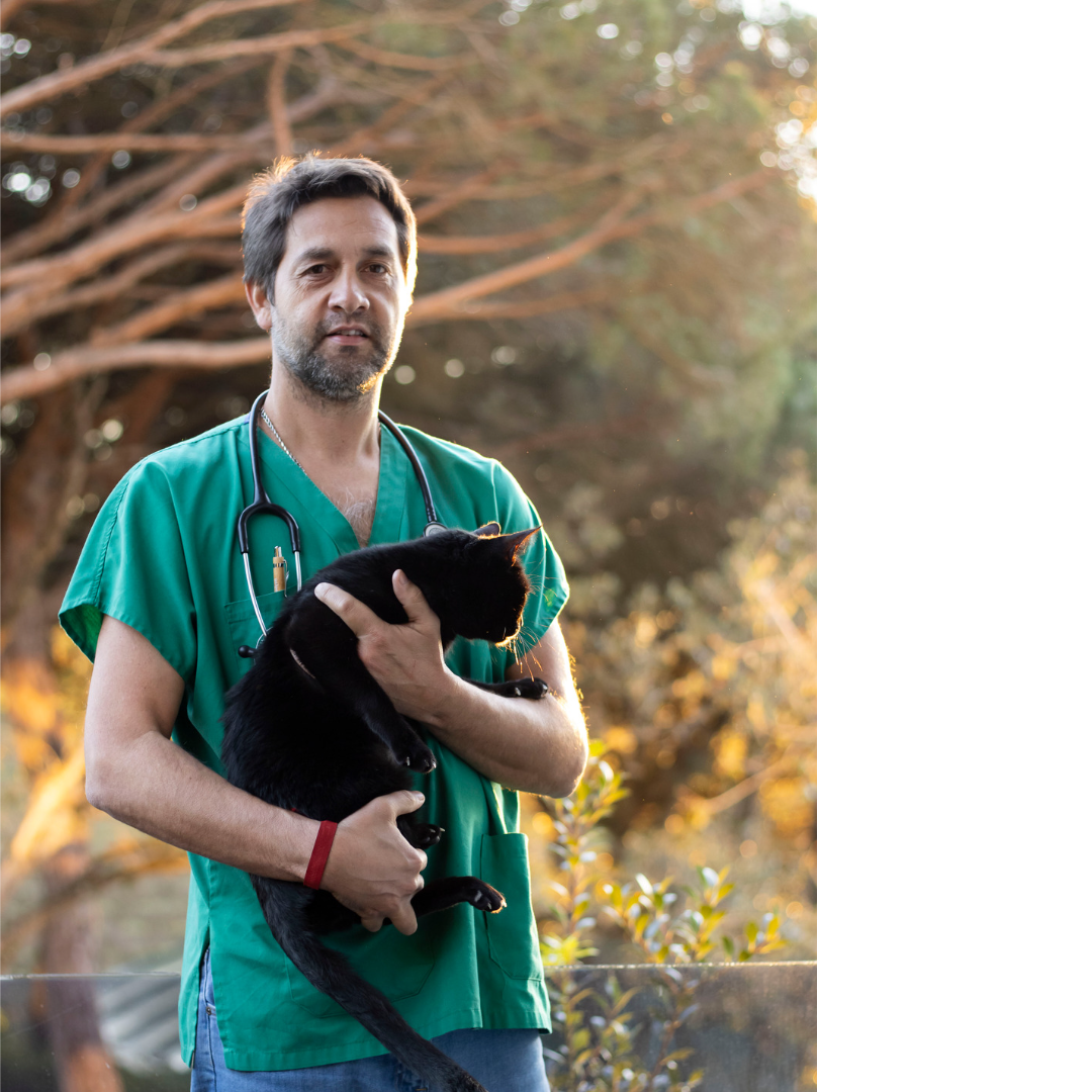 FILIPE PEREIRA - MÉDICO VETERINÁRIO